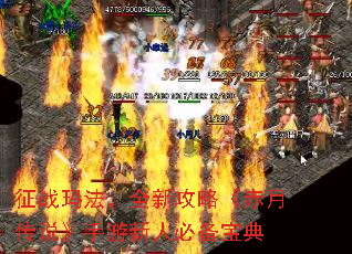 征战玛法,全新攻略《赤月传说》手游新人必备宝典 征战玛法,全新攻略《赤月传说》手游新人必备宝典