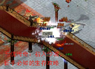 ���Ǵ��棺����ɳ�ǣ����ֱ�֪�����湥��