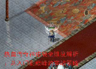 ��Ѫ�������Ӵ�ȫά�Ƚ����������ŵ��۷��ʵս����