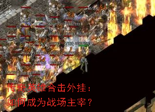 ����Ӣ�ۺϻ���ң���γ�Ϊս�����ף�