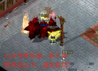 Xink����˽����������ο������֣�����ȿӣ�