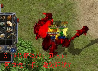 Xink����˽����������ο������֣�����ȿӣ�