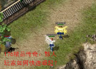 176��Ʒ���棺ɢ�������ο�������