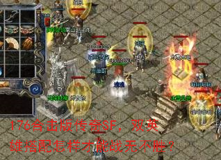 176合击版传奇SF,双英雄搭配怎样才能战无不胜? 176合击版传奇SF,双英雄搭配怎样才能战无不胜?