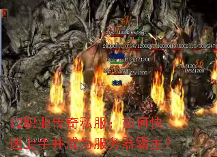 12ְҵ����˽������ο������ֲ���Ϊ������������