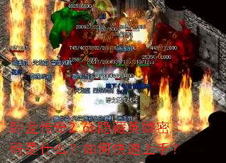 ��������2.6b����Ӣ��������ʲô����ο������֣�