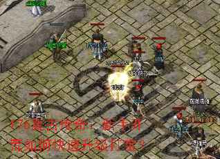 176���Ŵ��棺���ֿ�����ο��������򱦣�