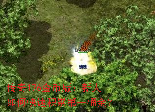 ����176��Ұ棺������ο��ٻ��۵�һͰ��