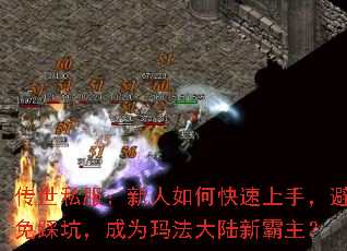 ����˽����������ο������֣�����ȿӣ���Ϊ�귨��½�°�����