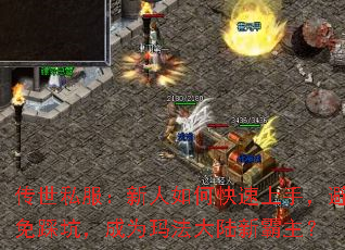 ����˽����������ο������֣�����ȿӣ���Ϊ�귨��½�°�����