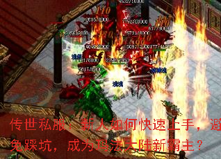 ����˽����������ο������֣�����ȿӣ���Ϊ�귨��½�°�����