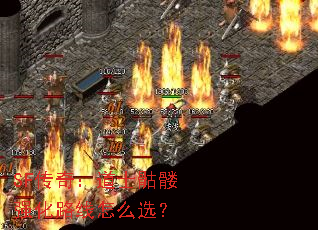 SF传奇:道士骷髅强化路线怎么选? SF传奇:道士骷髅强化路线怎么选?