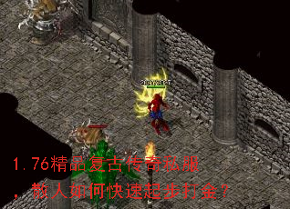 1.76��Ʒ���Ŵ���˽����ɢ����ο����𲽴��