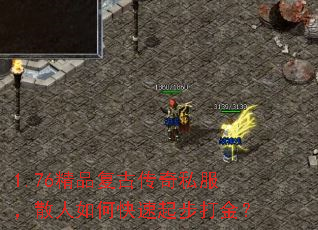 1.76��Ʒ���Ŵ���˽����ɢ����ο����𲽴��