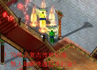 1.76��Ʒ���Ŵ���˽����ɢ����ο����𲽴��