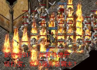 �´���815����ο��������򱦣���Ϊ������������