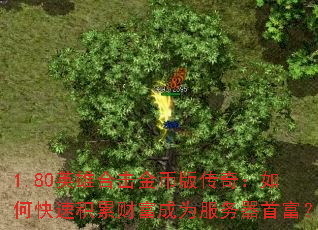 1.80英雄合击金币版传奇:如何快速积累财富成为服务器首富? 1.80英雄合击金币版传奇:如何快速积累财富成为服务器首富?