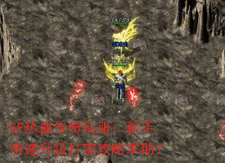 SF��Ѫ����˽�������ֿ��������򱦹���������