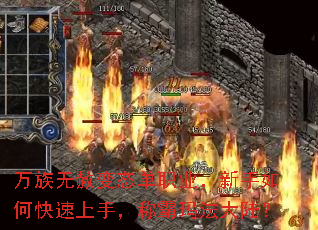 ���������̬��ְҵ��������ο������֣��ư��귨��½��