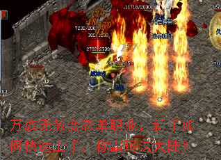 ���������̬��ְҵ��������ο������֣��ư��귨��½��