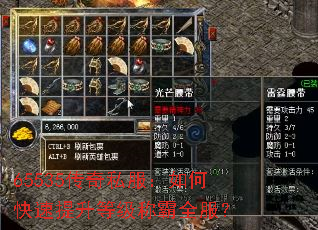 65535����˽������ο��������ȼ��ư�ȫ����