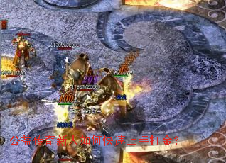 ���洫��������ο������ִ��