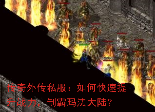 �����⴫˽������ο�������ս�����ư��귨��½��