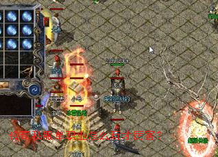 ����˽����ְҵ��ô���������