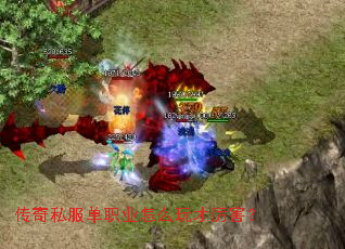 ����˽����ְҵ��ô���������