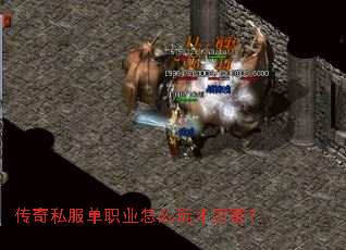 ����˽����ְҵ��ô���������