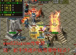 www523zgcom传奇游戏:新手快速升级有哪些秘诀? www523zgcom传奇游戏:新手快速升级有哪些秘诀?