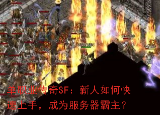 ��ְҵ����SF��������ο������֣���Ϊ������������