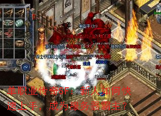 ��ְҵ����SF��������ο������֣���Ϊ������������