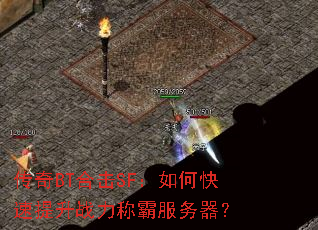 ����BT�ϻ�SF����ο�������ս���ưԷ�������