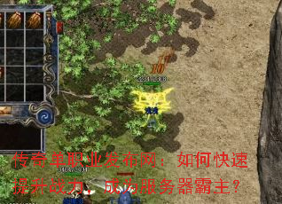 传奇单职业发布网:如何快速提升战力,成为服务器霸主? 传奇单职业发布网:如何快速提升战力,成为服务器霸主?