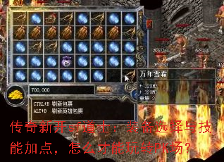 �����¿�sf��ʿ��װ��ѡ���뼼�ܼӵ㣬��ô������תPK����