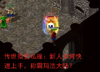 ����΢��˽����������ο������֣��ư��귨��½��