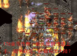 176��Ҵ��棺������ο������֣�����ȿӣ��ư��귨��½��