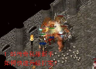 1.85����˽��������ο��������򱦣�