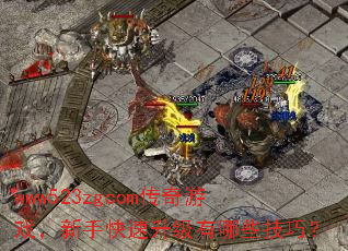 www523zgcom传奇游戏,新手快速升级有哪些技巧? www523zgcom传奇游戏,新手快速升级有哪些技巧?