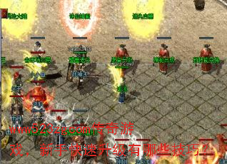 www523zgcom传奇游戏,新手快速升级有哪些技巧? www523zgcom传奇游戏,新手快速升级有哪些技巧?