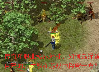 ���浥ְҵ˽����ң����ѡ���ʺ��Լ��ģ���������Ϸ�гư�һ����