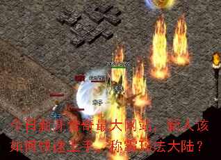 �����¿����������վ�����˸���ο������֣��ư��귨��½��