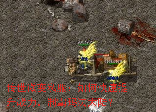 传世微变私服:如何快速提升战力,制霸玛法大陆? 传世微变私服:如何快速提升战力,制霸玛法大陆?