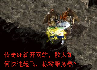 ����SF�¿���վ��ɢ����ο�����ɣ��ưԷ�������