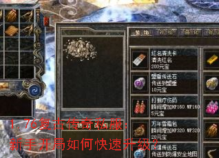 1.76���Ŵ���˽�������ֿ�����ο���������