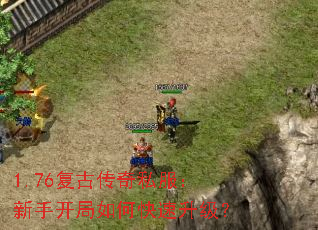 1.76���Ŵ���˽�������ֿ�����ο���������