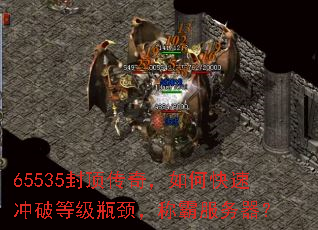 65535�ⶥ���棬��ο��ٳ��Ƶȼ�ƿ�����ưԷ�������