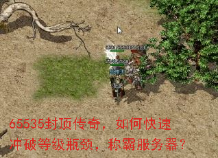 65535�ⶥ���棬��ο��ٳ��Ƶȼ�ƿ�����ưԷ�������