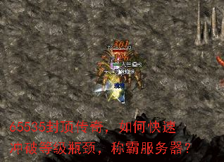 65535�ⶥ���棬��ο��ٳ��Ƶȼ�ƿ�����ưԷ�������